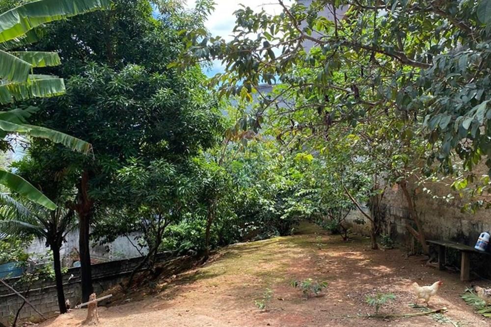 Terreno - Venda - Vila Velha , Espírito Santo - WhatsApp Image 2025-03-18 at 16.12.36.jpeg - 620101035-22