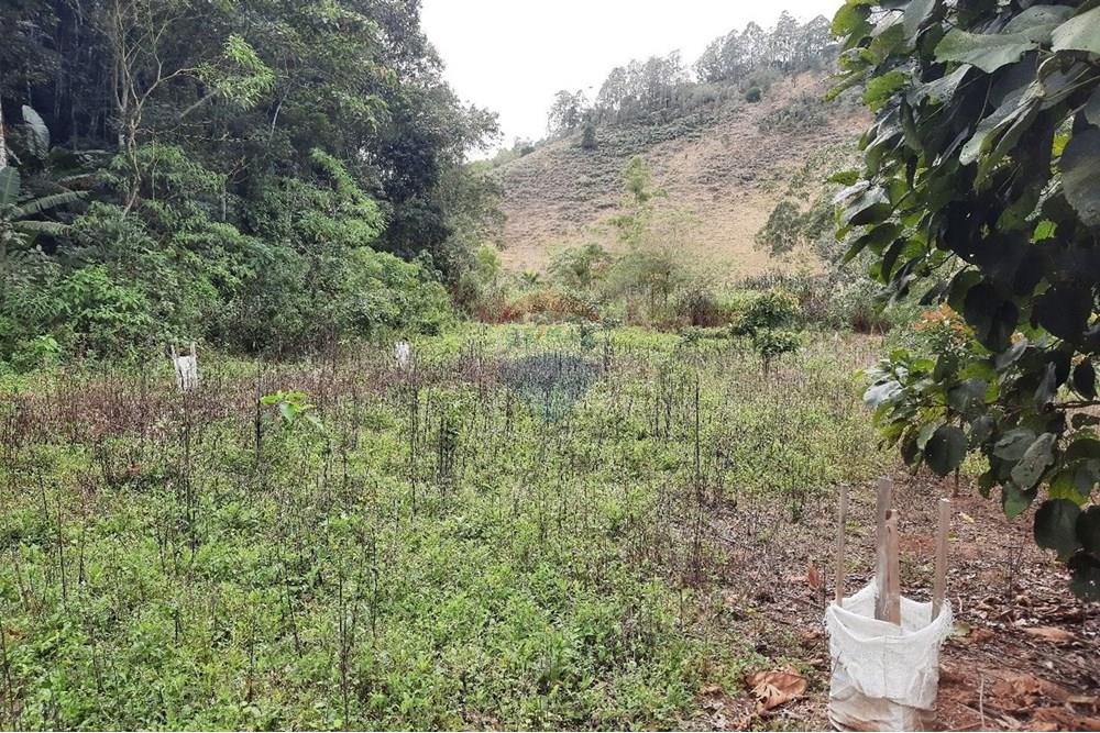 Terreno - Venda - Domingos Martins , Espírito Santo - WhatsApp Image 2025-06-05 at 11.09.42 (3).jpeg - 620171060-3