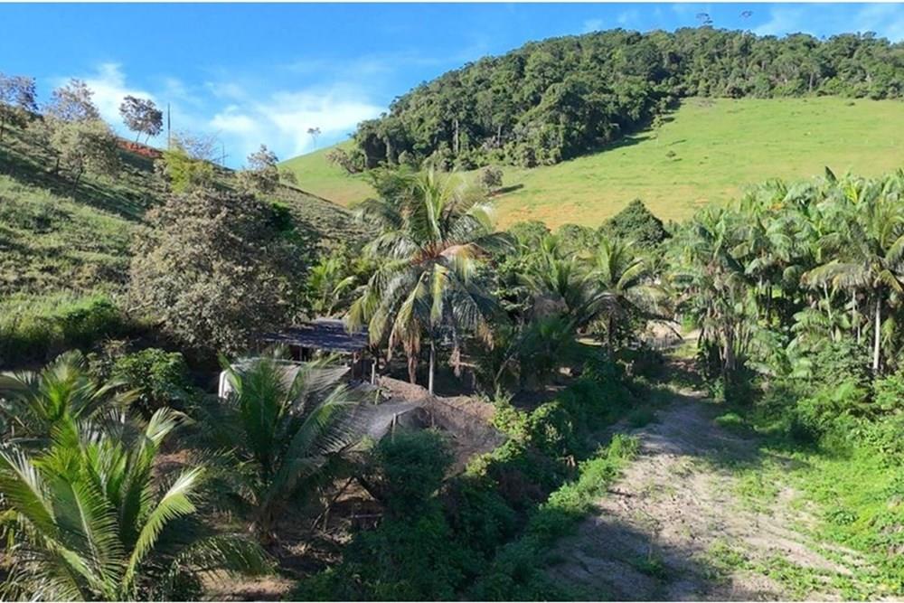 Chácara / Sítio / Fazenda - Venda - Anchieta , Espírito Santo - Imagem do WhatsApp de 2025-09-05 à(s) 16.03.48_371dd284.jpg - 620181007-51