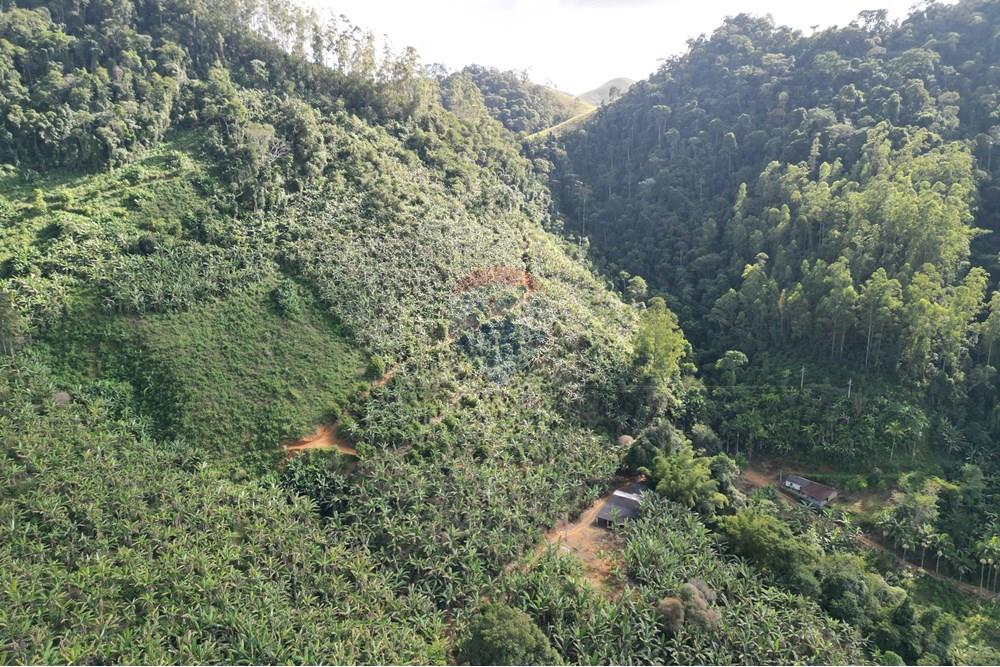 Chácara / Sítio / Fazenda - Venda - Iconha , Espírito Santo - DJI_0546.JPG - 620201020-13