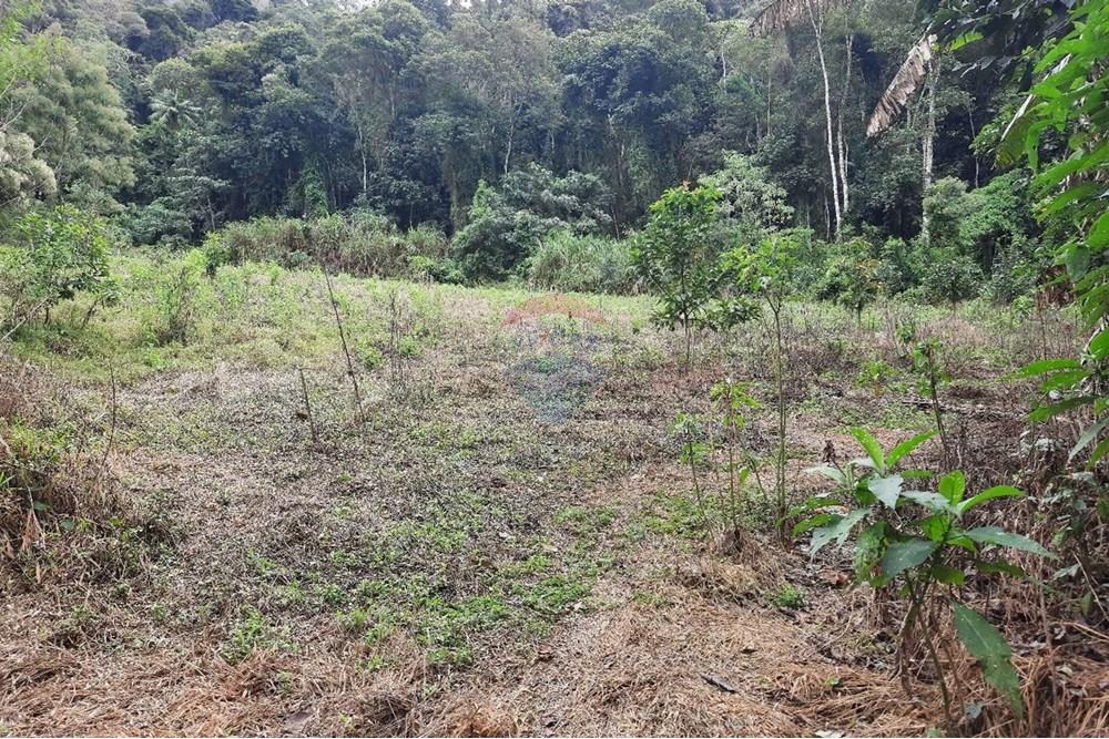 Terreno - Venda - Domingos Martins , Espírito Santo - WhatsApp Image 2025-06-05 at 11.09.39.jpeg - 620171060-3