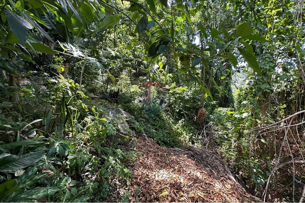 Terreno - Venda - Vitória , Espírito Santo - WhatsApp Image 2025-03-20 at 15.13.03.jpeg - 620171023-49