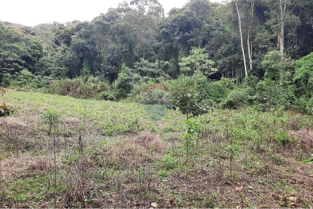 Terreno - Venda - Domingos Martins , Espírito Santo - WhatsApp Image 2025-06-05 at 11.09.42 (1).jpeg - 620171060-3