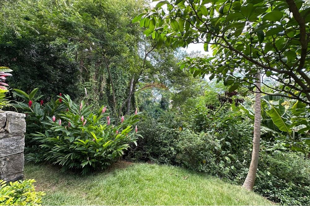 Terreno - Venda - Vitória , Espírito Santo - WhatsApp Image 2025-03-20 at 15.14.41.jpeg - 620171023-49