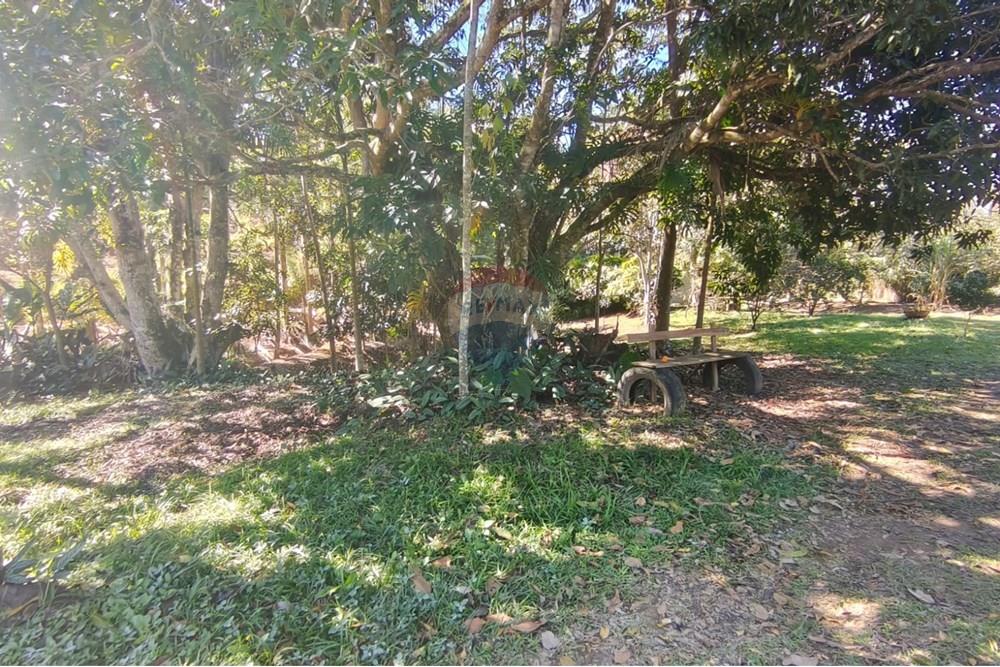 Chácara / Sítio / Fazenda - Venda - Guaçuí , Espírito Santo - WhatsApp Image 2025-07-08 at 15.31.26 (2).jpeg - 620251001-23