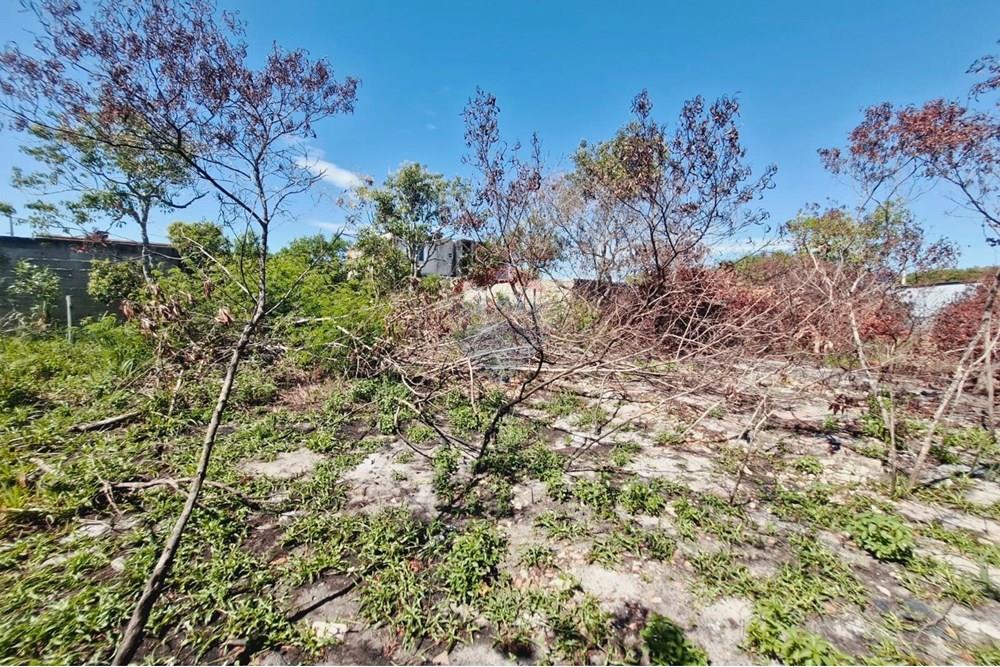 Terreno - Venda - Vila Velha , Espírito Santo - 5.jpg - 620071021-10