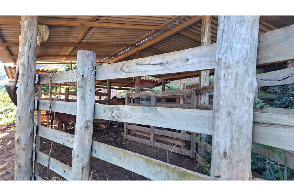 Chácara / Sítio / Fazenda - Venda - Afonso Cláudio , Espírito Santo - WhatsApp Image 2025-02-07 at 17.16.16 (3).jpeg - 620171039-31