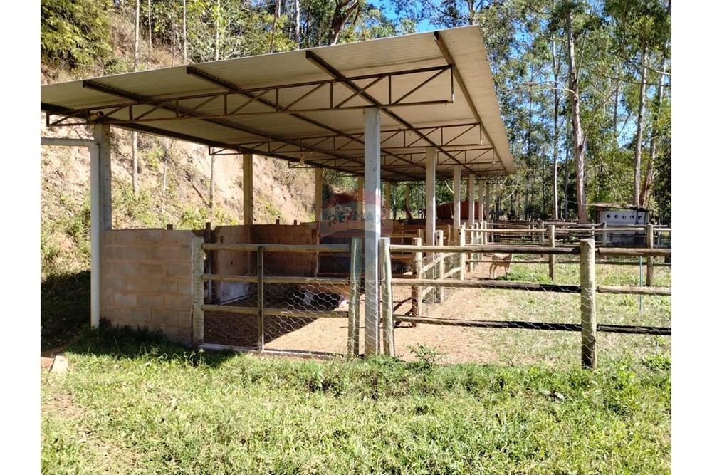 Chácara / Sítio / Fazenda - Venda - Guaçuí , Espírito Santo - WhatsApp Image 2025-05-22 at 12.22.26 (1).jpeg - 620251001-6
