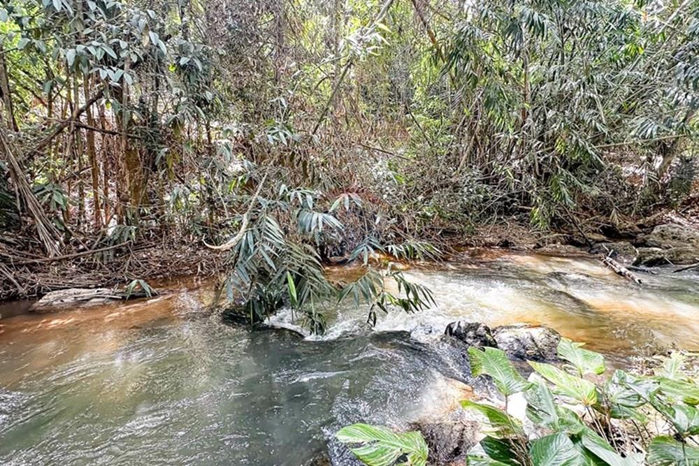 Chácara / Sítio / Fazenda - Venda - Domingos Martins , Espírito Santo - Virginia1-54.jpg - 620171046-11