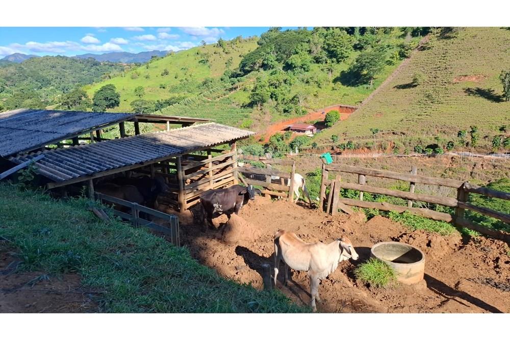 Chácara / Sítio / Fazenda - Venda - Afonso Cláudio , Espírito Santo - WhatsApp Image 2025-02-07 at 17.16.16.jpeg - 620171039-31