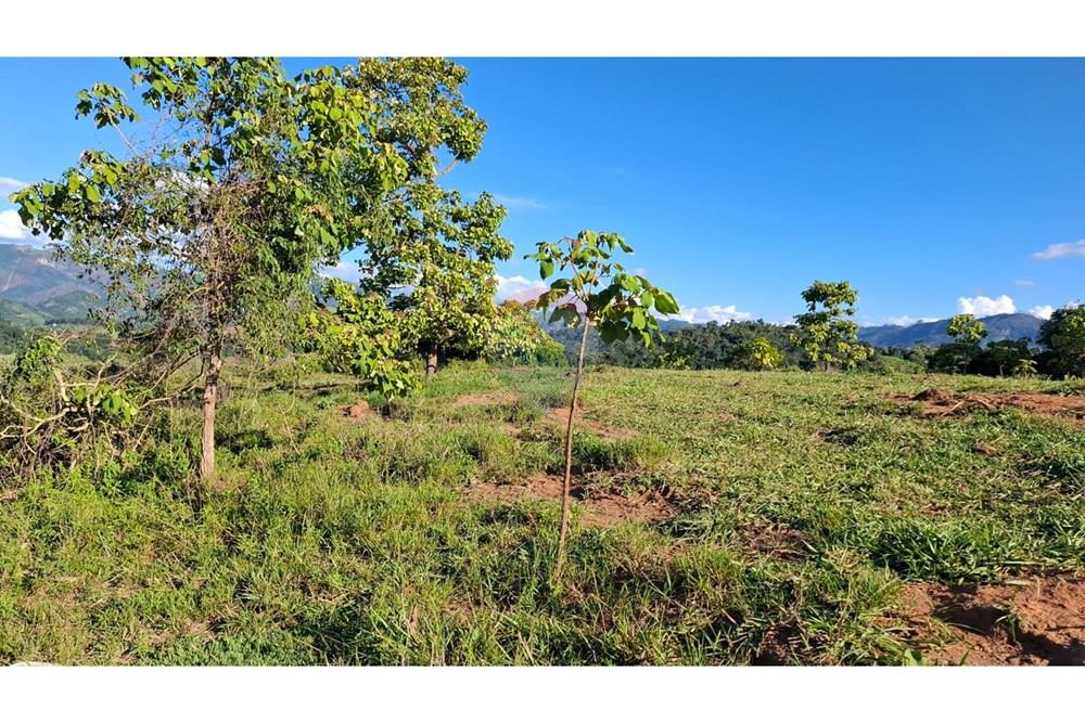 Chácara / Sítio / Fazenda - Venda - Afonso Cláudio , Espírito Santo - WhatsApp Image 2025-02-07 at 17.16.09.jpeg - 620171039-31