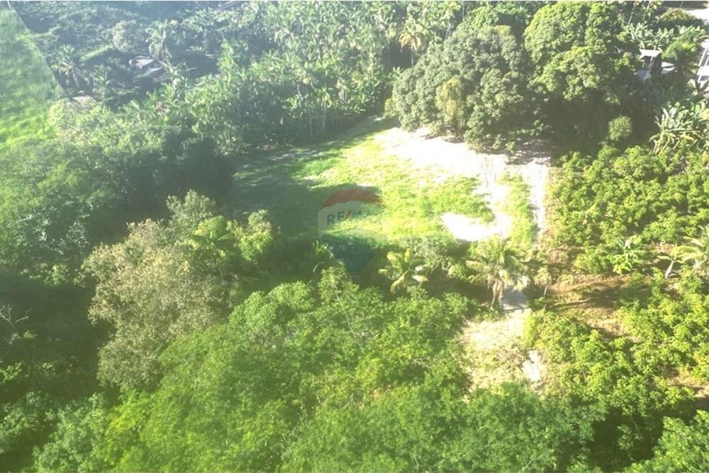 Chácara / Sítio / Fazenda - Venda - Anchieta , Espírito Santo - Imagem do WhatsApp de 2025-09-05 à(s) 16.03.39_4a4d8f2a.jpg - 620181007-51