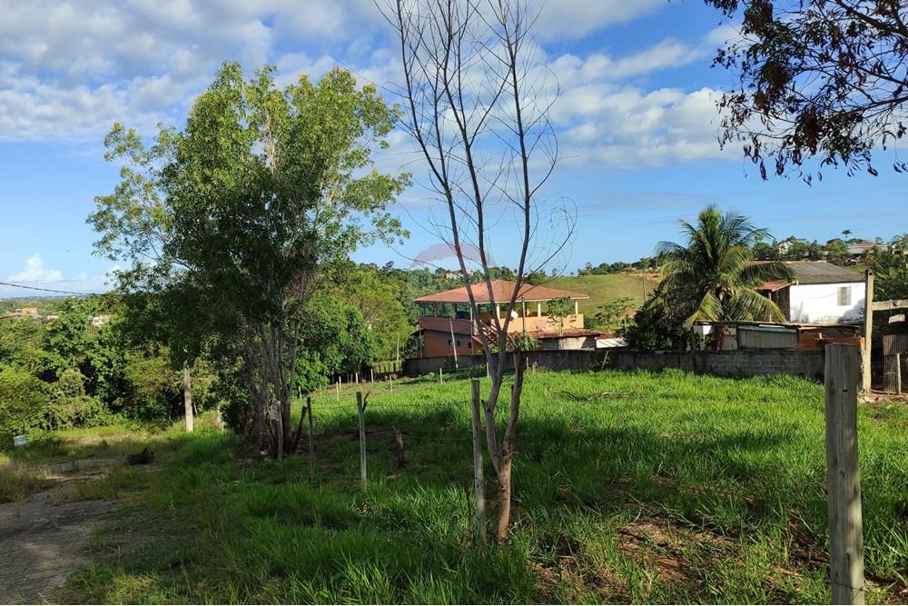 Terreno - Venda - Anchieta , Espírito Santo - WhatsApp Image 2025-04-11 at 15.59.06 (1).jpeg - 620181007-41