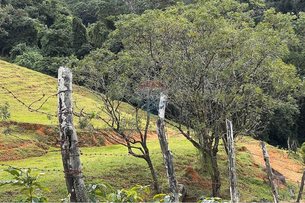 Chácara / Sítio / Fazenda - Venda - Anchieta , Espírito Santo - 20250714_161409351_iOS.jpg - 620181014-7