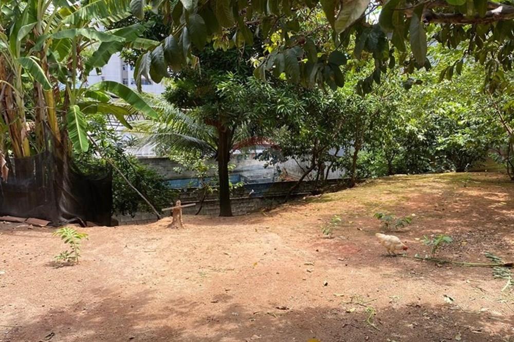 Terreno - Venda - Vila Velha , Espírito Santo - WhatsApp Image 2025-03-18 at 16.12.36 (2).jpeg - 620101035-22