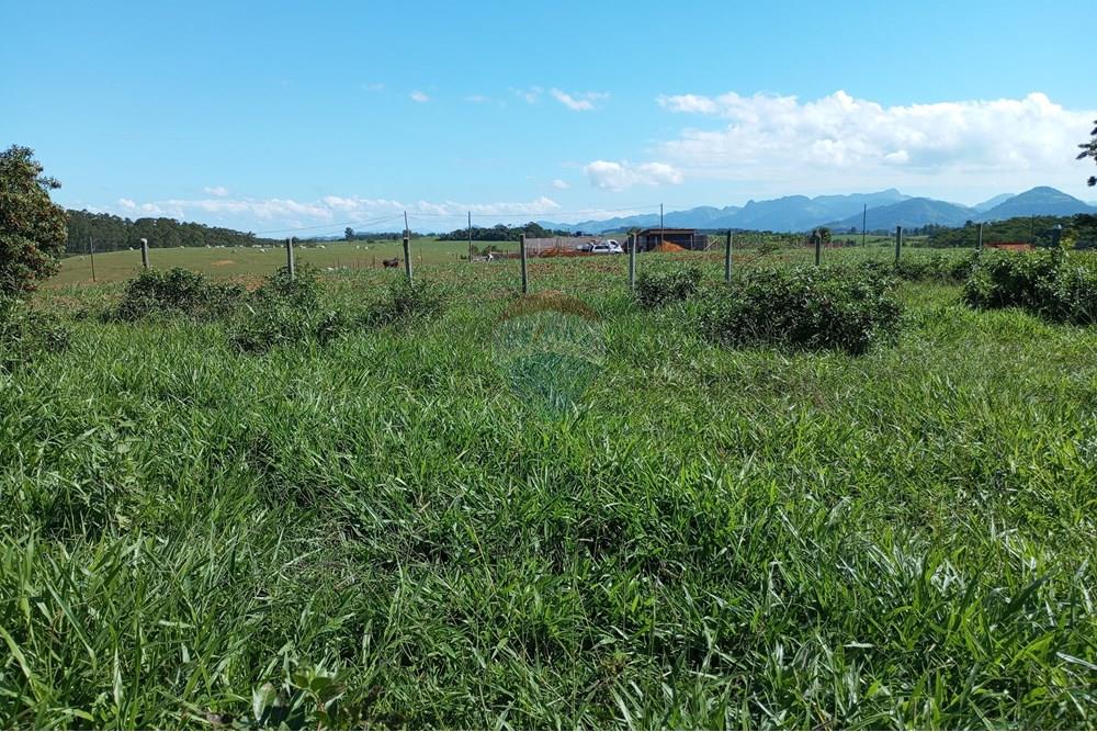 Terreno - Venda - Anchieta , Espírito Santo - IMG_20250520_124823.jpg - 620181007-45