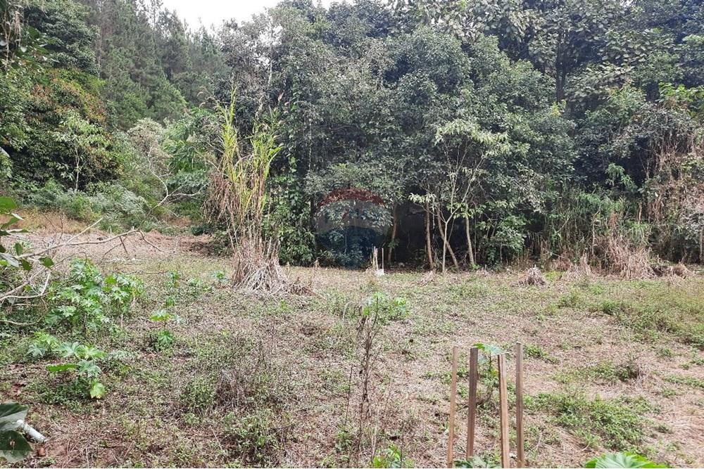 Terreno - Venda - Domingos Martins , Espírito Santo - WhatsApp Image 2025-06-05 at 11.09.38 (1).jpeg - 620171060-3