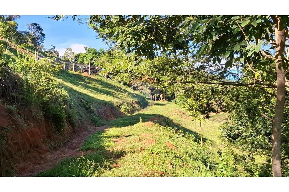 Chácara / Sítio / Fazenda - Venda - Afonso Cláudio , Espírito Santo - WhatsApp Image 2025-02-07 at 17.16.17 (1).jpeg - 620171039-31