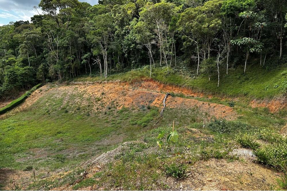 Terreno - Venda - Domingos Martins , Espírito Santo - WhatsApp Image 2025-03-13 at 16.52.25.jpeg - 620171023-48