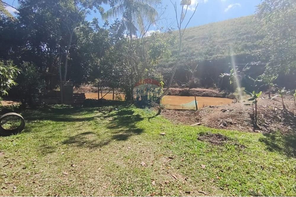 Chácara / Sítio / Fazenda - Venda - Guaçuí , Espírito Santo - WhatsApp Image 2025-07-08 at 15.31.26 (1).jpeg - 620251001-23