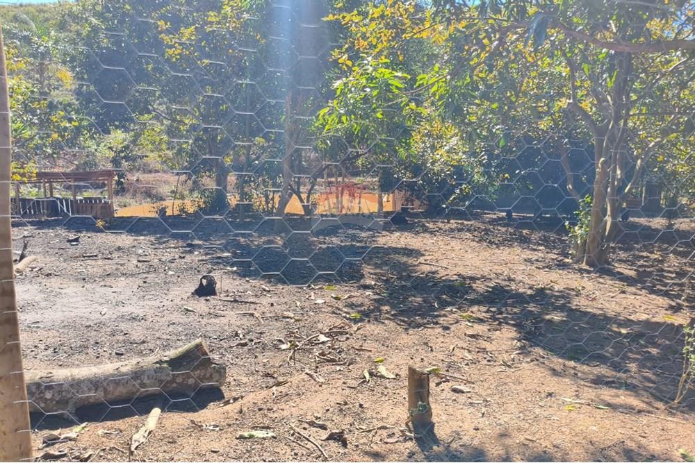 Chácara / Sítio / Fazenda - Venda - Guaçuí , Espírito Santo - WhatsApp Image 2025-07-08 at 15.31.26.jpeg - 620251001-23