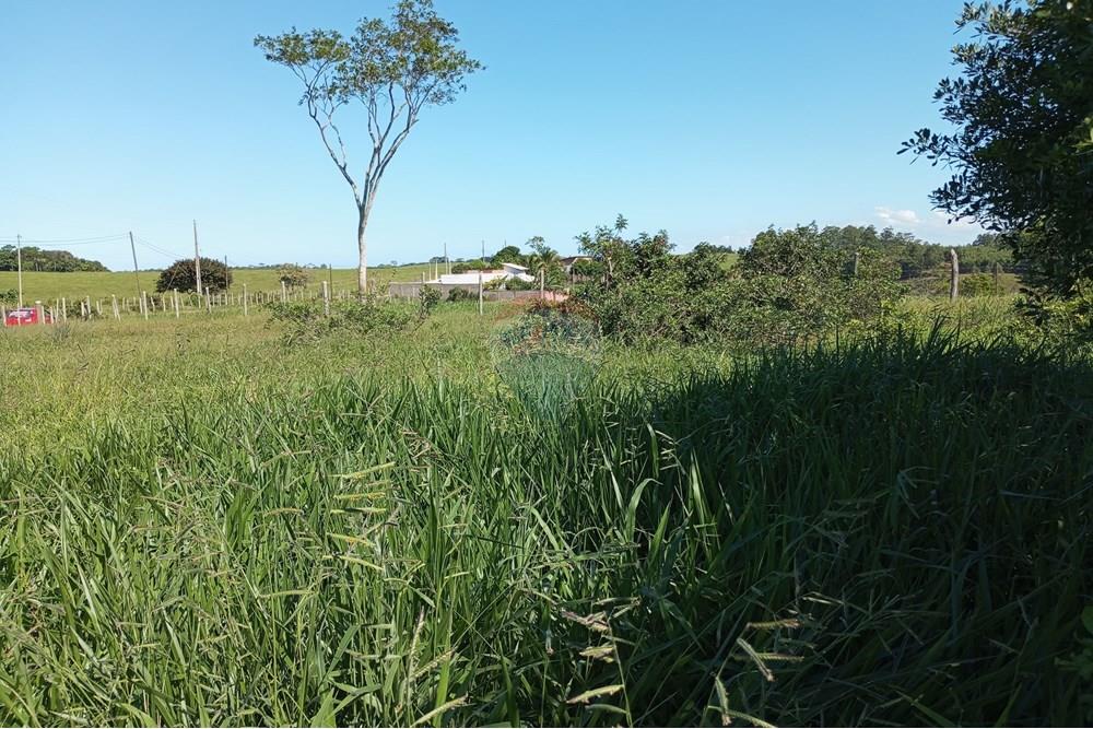 Terreno - Venda - Anchieta , Espírito Santo - IMG_20250520_125232.jpg - 620181007-45