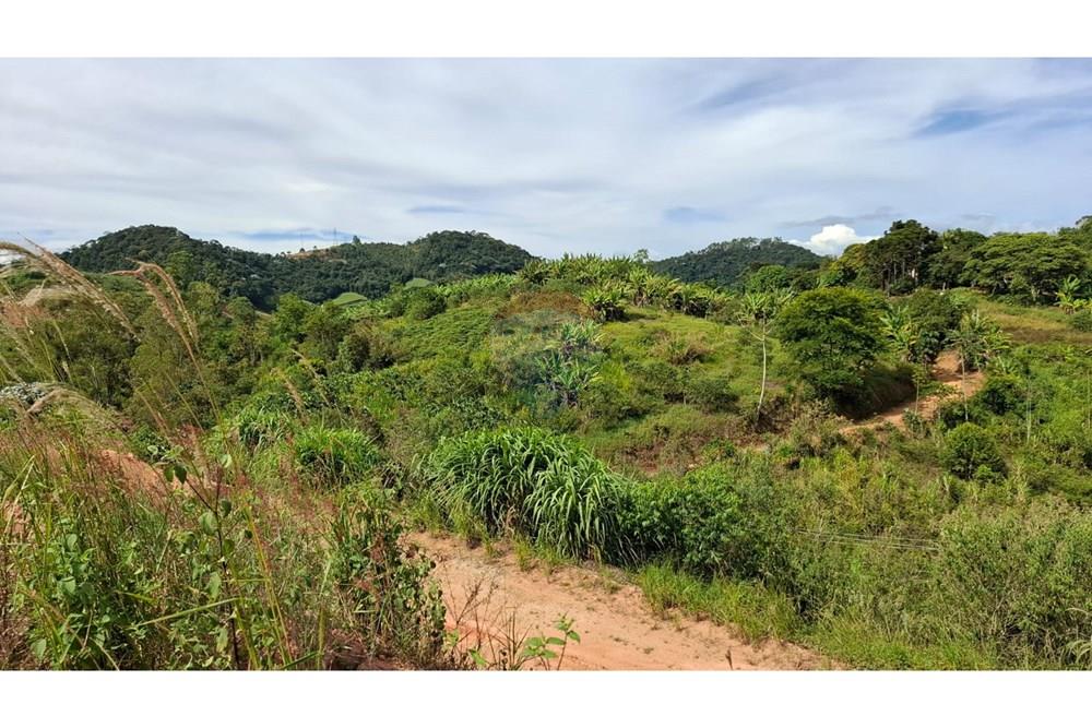 Chácara / Sítio / Fazenda - Venda - Santa Maria de Jetibá , Espírito Santo - WhatsApp Image 2025-02-14 at 14.29.16.jpeg - 620171039-33