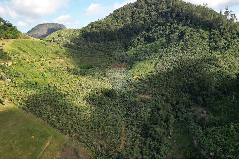 Chácara / Sítio / Fazenda - Venda - Iconha , Espírito Santo - DJI_0533.JPG - 620201020-13