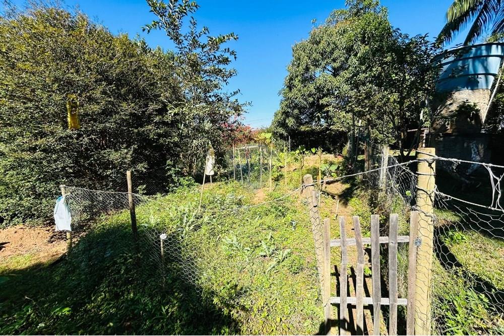 Chácara / Sítio / Fazenda - Venda - Guaçuí , Espírito Santo - WhatsApp Image 2025-07-23 at 14.14.38 (1).jpeg - 620251001-14