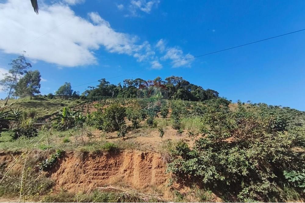 Chácara / Sítio / Fazenda - Venda - Guaçuí , Espírito Santo - WhatsApp Image 2025-07-08 at 15.31.28.jpeg - 620251001-23