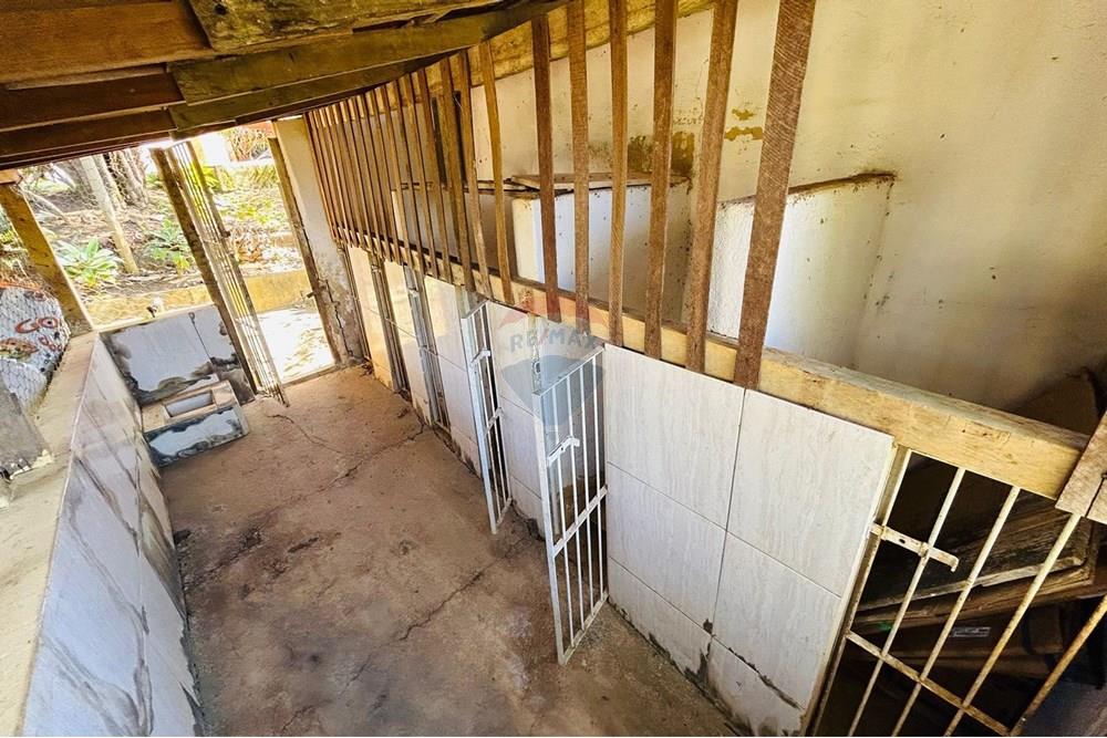 Chácara / Sítio / Fazenda - Venda - Guaçuí , Espírito Santo - WhatsApp Image 2025-07-23 at 14.14.58.jpeg - 620251001-14