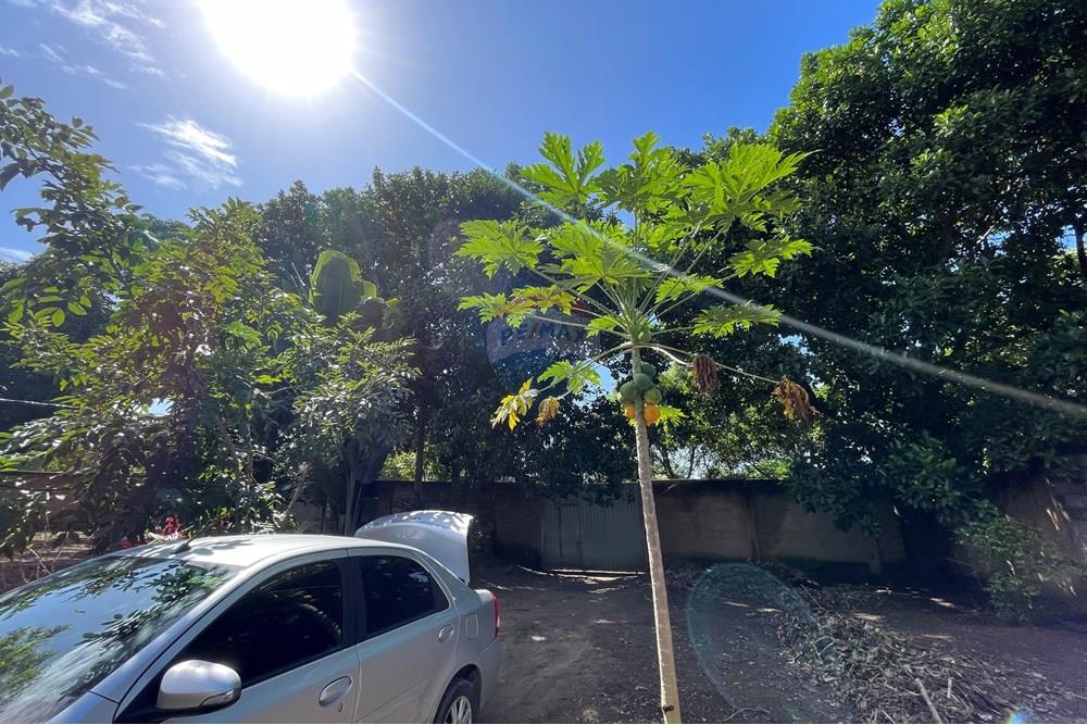 Terreno - Venda - Vila Velha , Espírito Santo - IMG_6434.jpeg - Quintal - 620171059-6