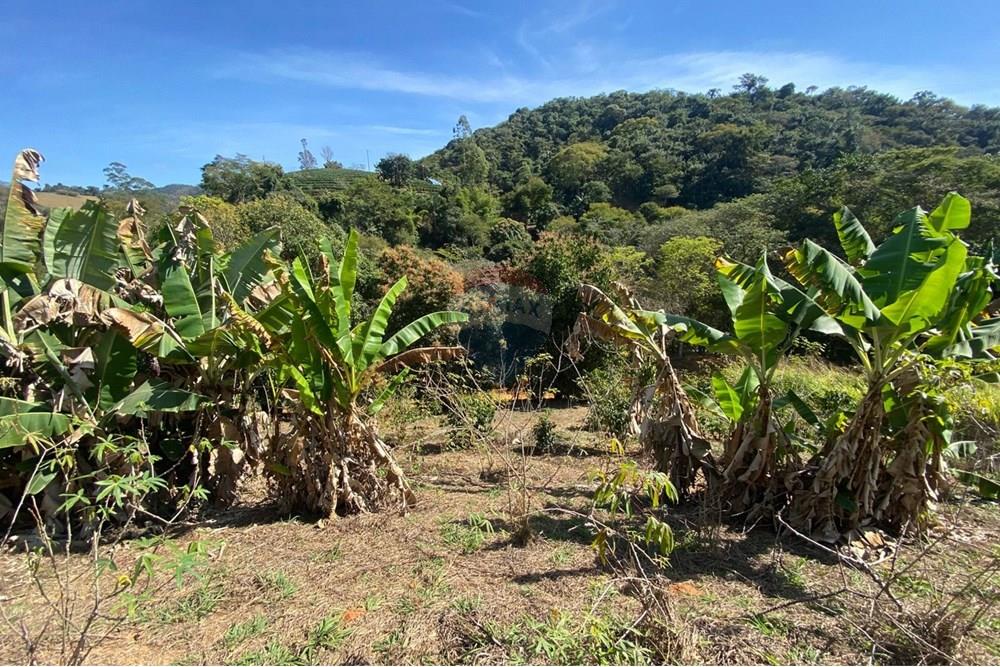 Chácara / Sítio / Fazenda - Venda - Alegre , Espírito Santo - WhatsApp Image 2025-08-15 at 16.18.06 (4).jpeg - 620251001-49
