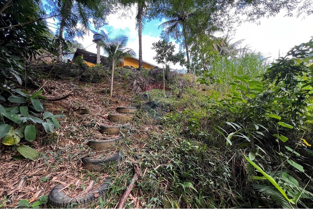 Chácara / Sítio / Fazenda - Venda - Anchieta , Espírito Santo - 20250714_173055964_iOS.jpg - 620181014-7