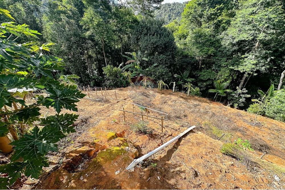 Casa - Venda - Domingos Martins , Espírito Santo - GeovanaLimpo-1.jpg - 620171046-32