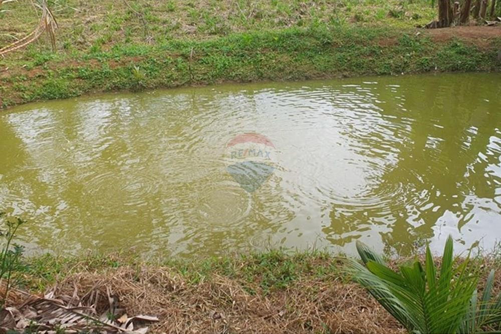 Chácara / Sítio / Fazenda - Venda - Guaçuí , Espírito Santo - WhatsApp Image 2025-07-28 at 10.22.05.jpeg - 620251001-48