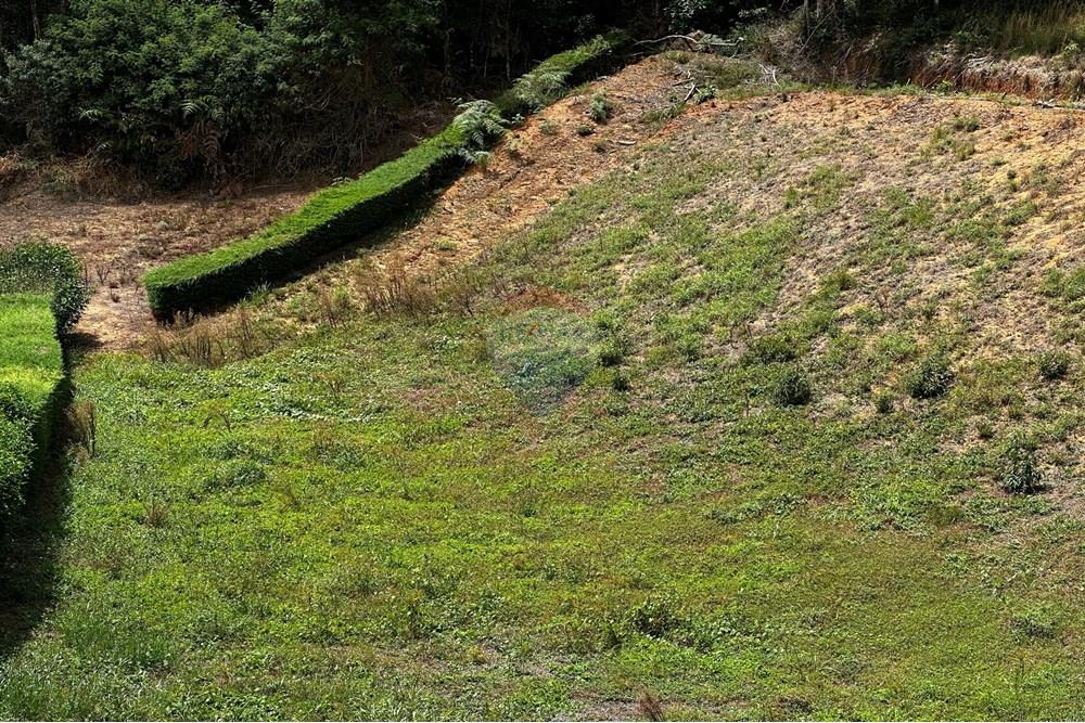 Terreno - Venda - Domingos Martins , Espírito Santo - WhatsApp Image 2025-03-13 at 16.52.23 (1).jpeg - 620171023-48