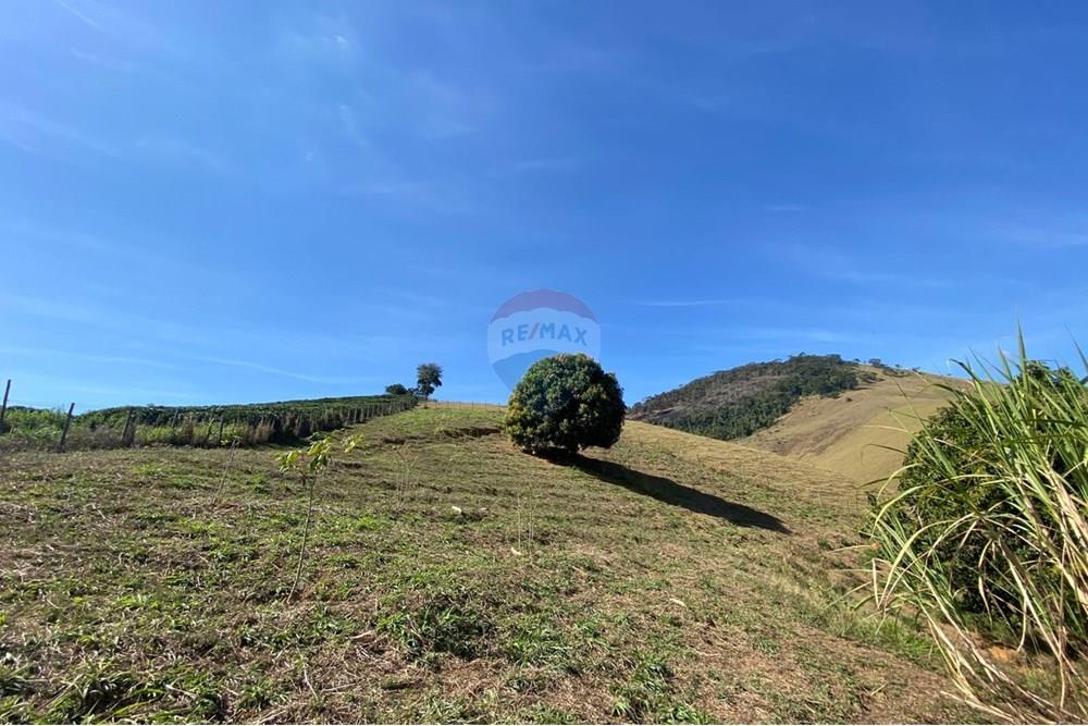 Chácara / Sítio / Fazenda - Venda - Alegre , Espírito Santo - WhatsApp Image 2025-08-15 at 16.18.07 (4).jpeg - 620251001-49