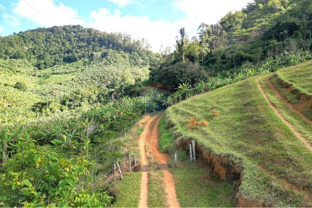 Chácara / Sítio / Fazenda - Venda - Iconha , Espírito Santo - DJI_0507.JPG - 620201020-13