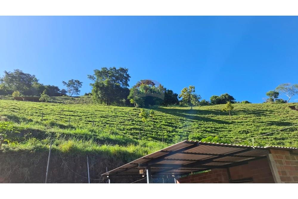 Chácara / Sítio / Fazenda - Venda - Afonso Cláudio , Espírito Santo - WhatsApp Image 2025-02-07 at 17.16.18 (1).jpeg - 620171039-31