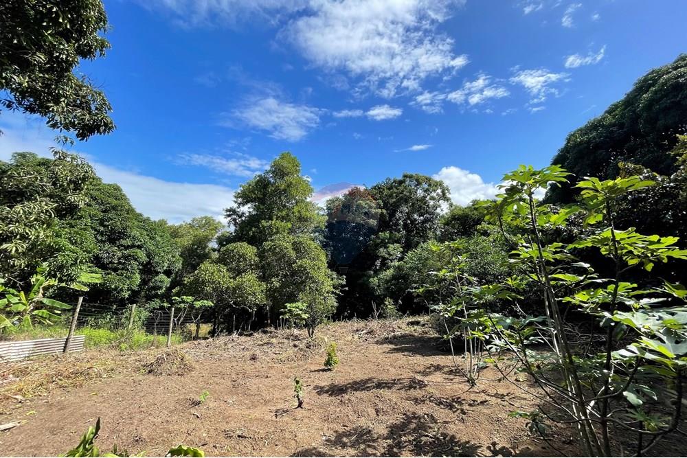 Terreno - Venda - Vila Velha , Espírito Santo - IMG_6416.jpeg - Quintal - 620171059-6