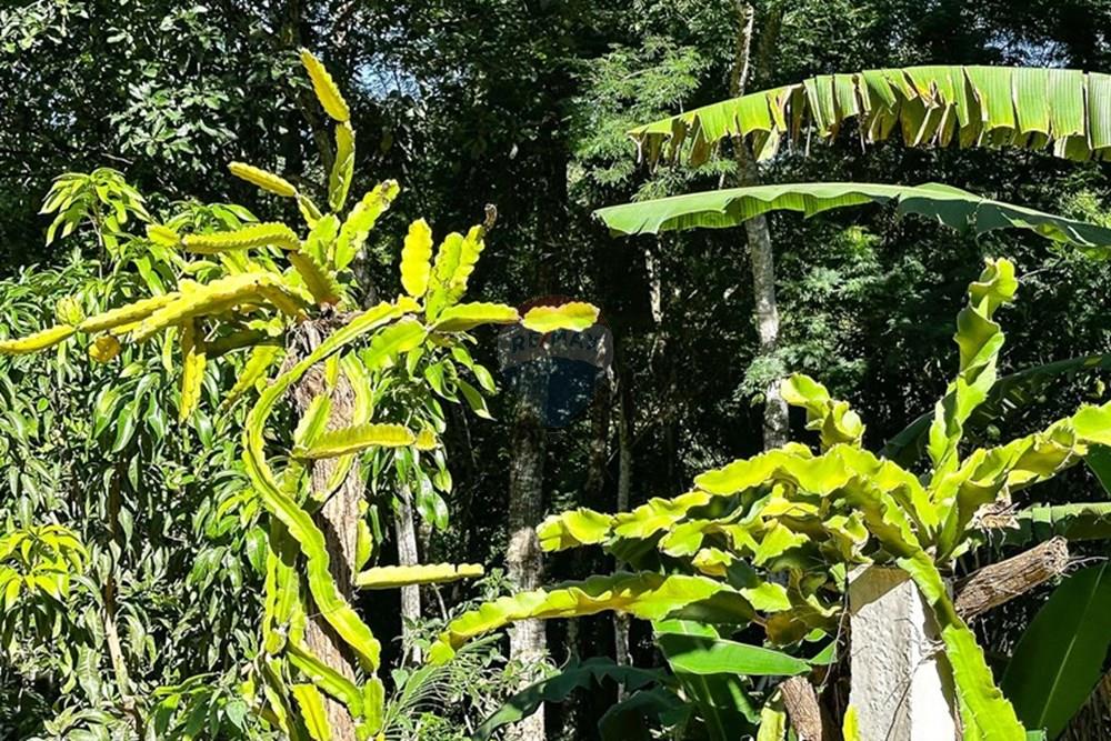 Casa - Venda - Domingos Martins , Espírito Santo - BetoGeovana-7.jpg - Quintal - 620171046-32