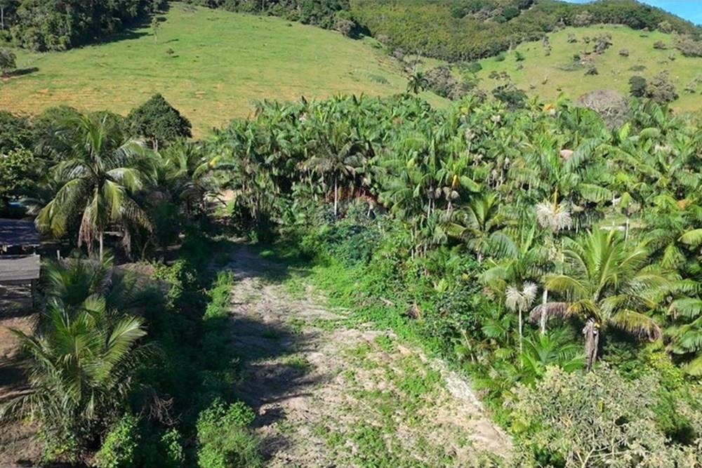 Chácara / Sítio / Fazenda - Venda - Anchieta , Espírito Santo - Imagem do WhatsApp de 2025-09-05 à(s) 16.03.51_d80c2949.jpg - 620181007-51