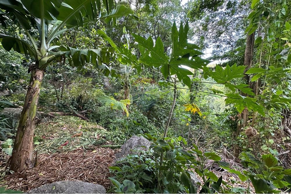 Terreno - Venda - Vitória , Espírito Santo - WhatsApp Image 2025-03-20 at 15.13.04 (1).jpeg - 620171023-49