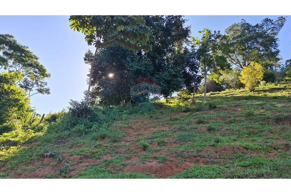 Chácara / Sítio / Fazenda - Venda - Afonso Cláudio , Espírito Santo - WhatsApp Image 2025-02-07 at 17.16.15 (3).jpeg - 620171039-31