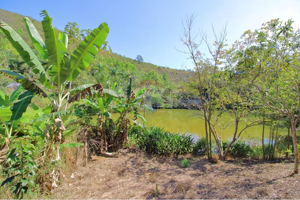 Chácara / Sítio / Fazenda - Venda - Santa Leopoldina , Espírito Santo - 19.JPG - 620171030-30