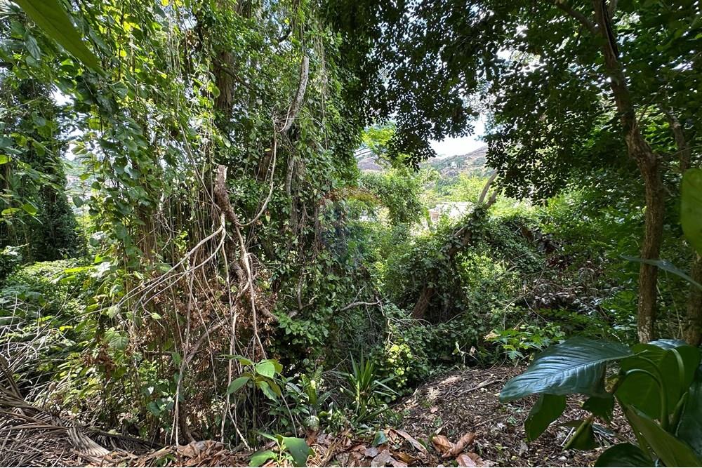 Terreno - Venda - Vitória , Espírito Santo - WhatsApp Image 2025-03-20 at 15.13.02.jpeg - 620171023-49