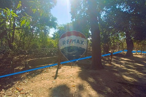 Venda-Terreno-Jardim São Roque , Lins , São Paulo , 16402550-631011048-2