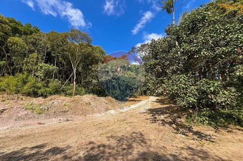 Venda-Terreno-Rua dos Coqueiros , 0  - Palmeiras de São Paulo , Suzano , São Paulo , 08640000-631371018-45