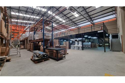 Galpão - Alugar - Mogi das Cruzes , São Paulo - 7 - 630281011-797